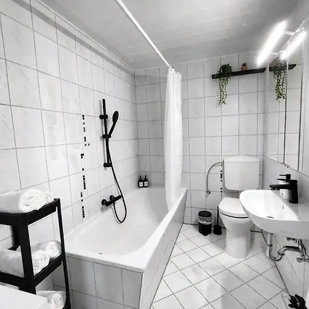 The Guenz Homes 1 *